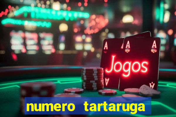 numero tartaruga jogo do bicho